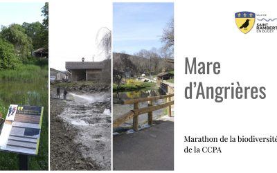 Marathon de la biodiversité